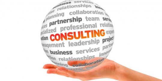 Consulting - Product Mangement - Trainings